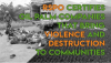 RSPO: 14 years of failure to eliminate violence and destruction from the industrial palm oil sector