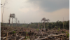Joint Open Letter to the Consumer Goods Forum – It’s Time to Stop the Fires and Deliver on ‘No Deforestation, No Peat, No Exploitation’ Commitments