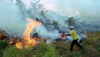 South-East Asia’s Peat Fires and Global Warming